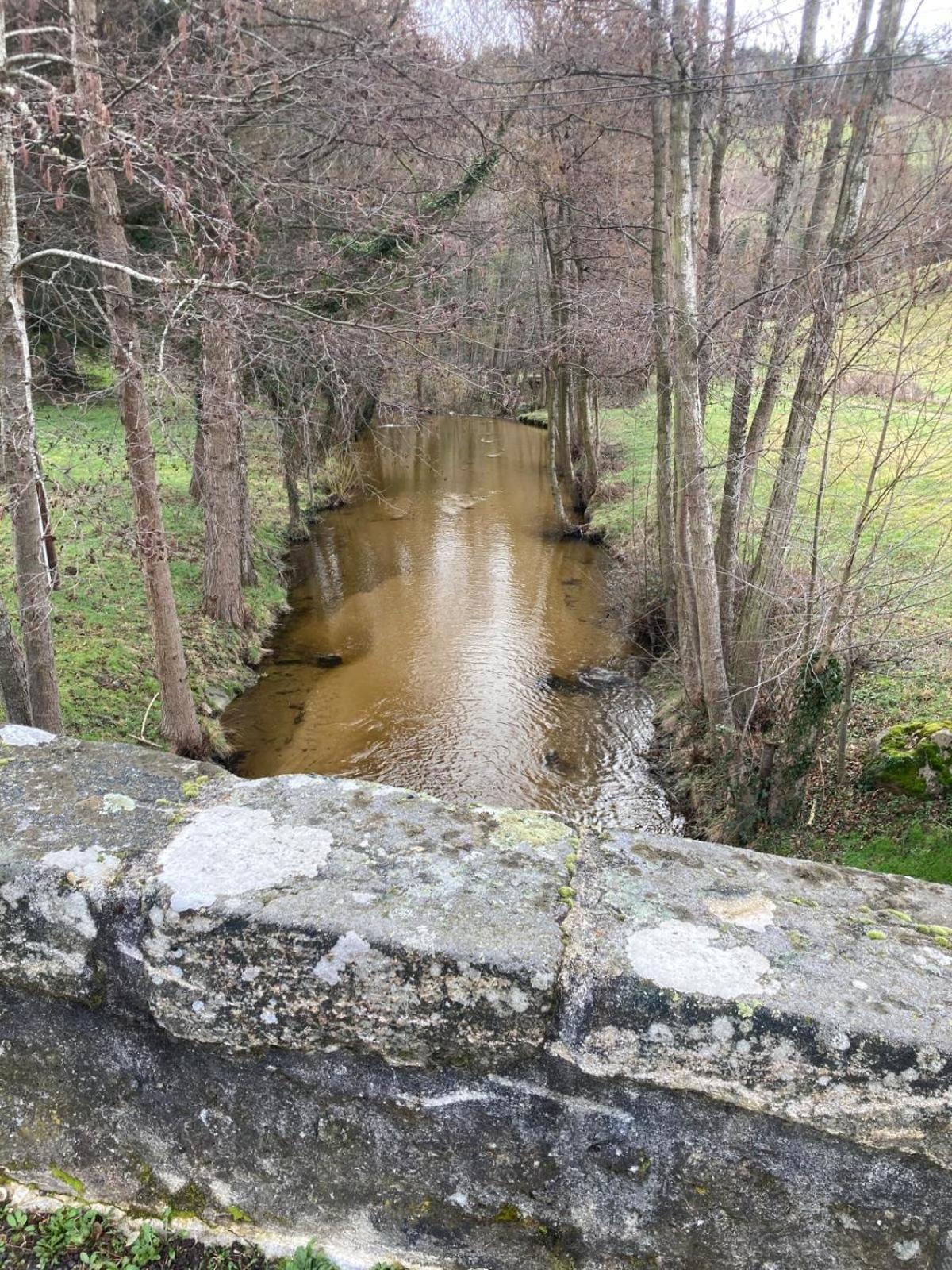 Jolie Maison De Campagne, Compostelle Villa Soleymieux Esterno foto