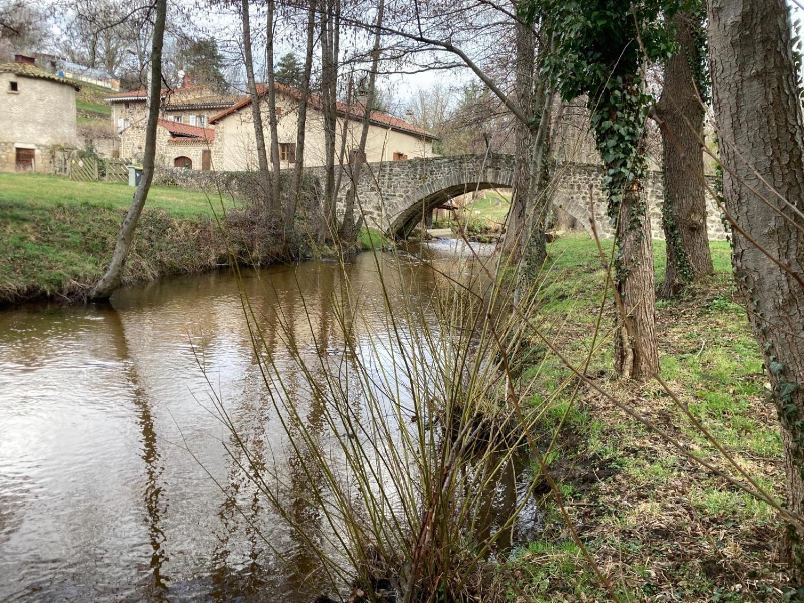 Jolie Maison De Campagne, Compostelle Villa Soleymieux Esterno foto