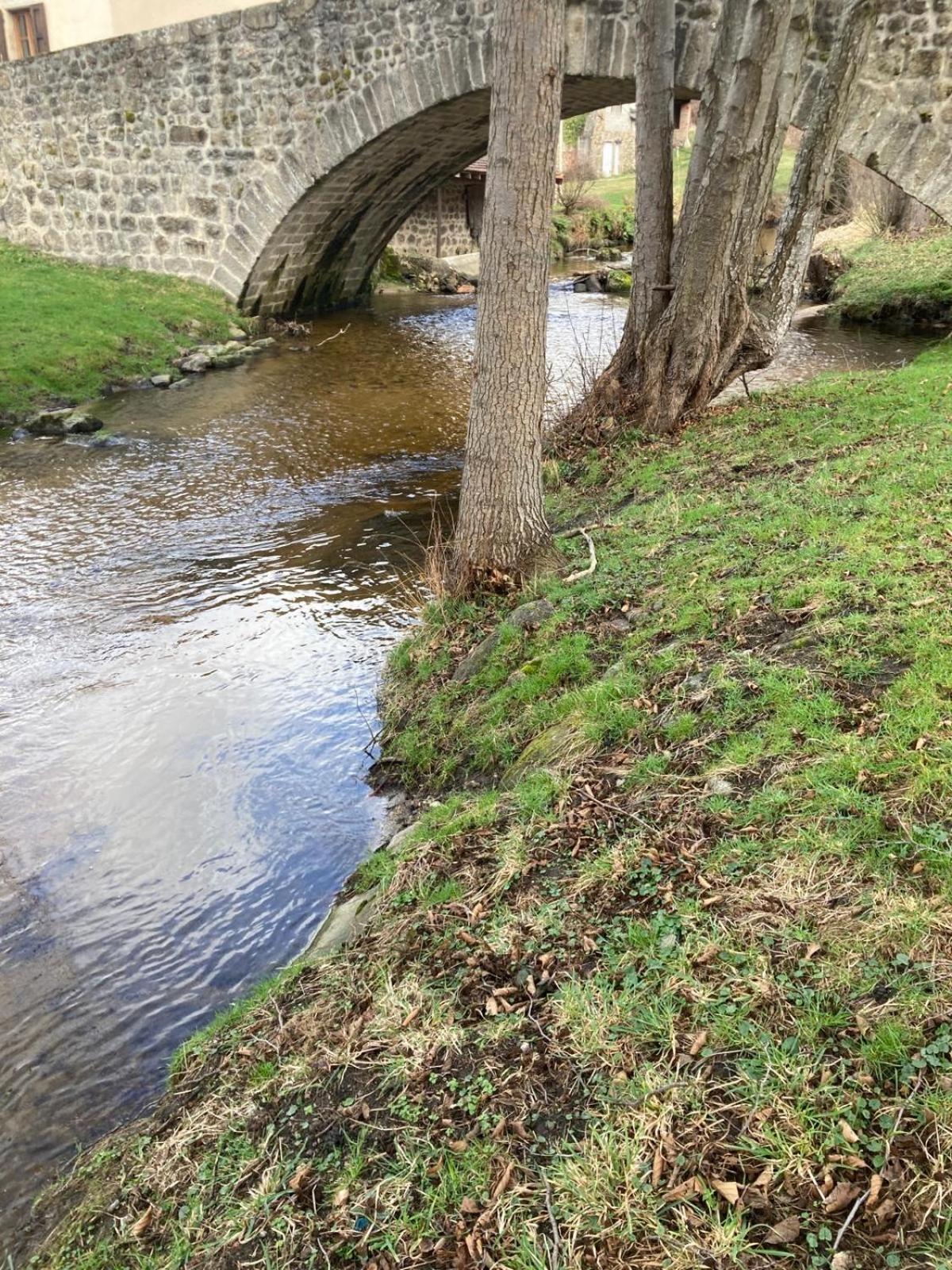 Jolie Maison De Campagne, Compostelle Villa Soleymieux Esterno foto